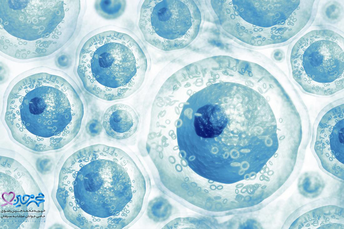سلول های بنیادی جنینی
