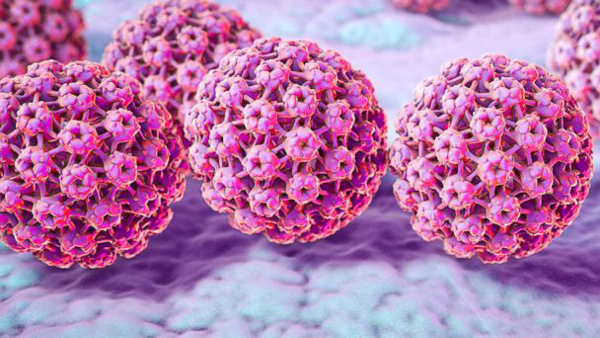 بیماری زگیل تناسلی یا HPV چیست؟