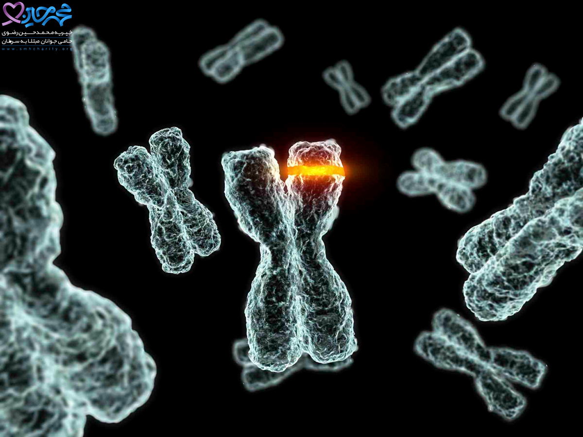 آزمایش ژنتیک|سرطان ژنتیکی|تست ژنتیکی|جهش ژنی در خانواده|تست تشخیص ژنتیک در اعضای خانواده|سلول های سرطانی|