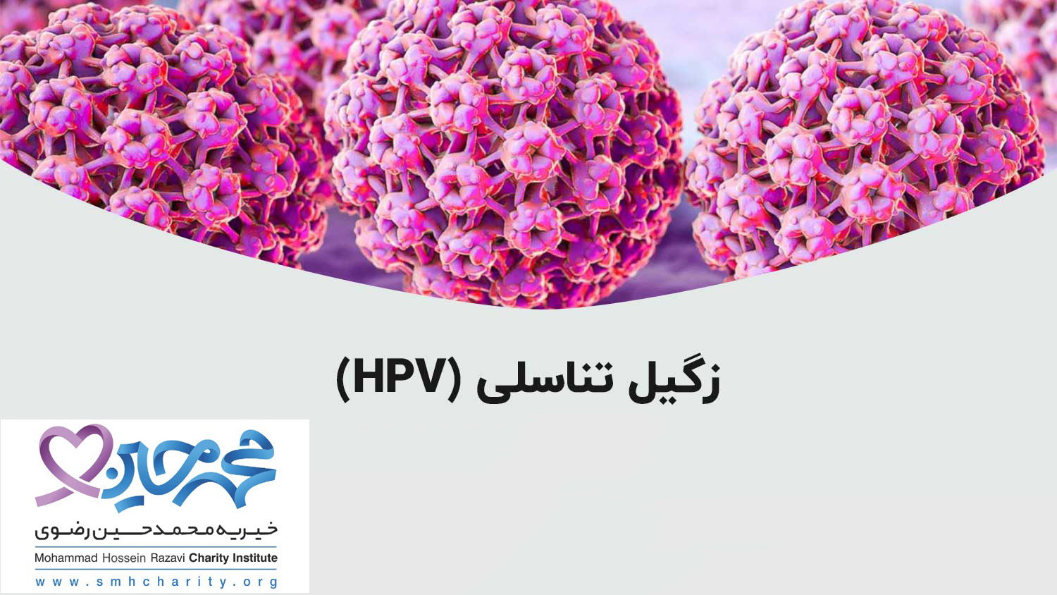 زگیل تناسلی| درمان زگیل تناسلی| پیشگیری از زگیل تناسلی| علل ایجاد HPV